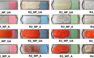 Ancient encaust: A multi-analytical investigation discovers the secrets of the painting technique