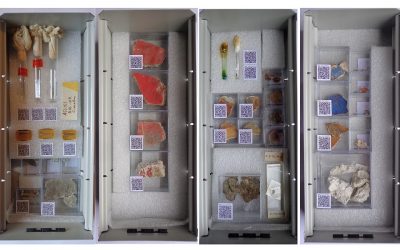 ICCROM initiative on Material Samples Collections – A survey to participate in