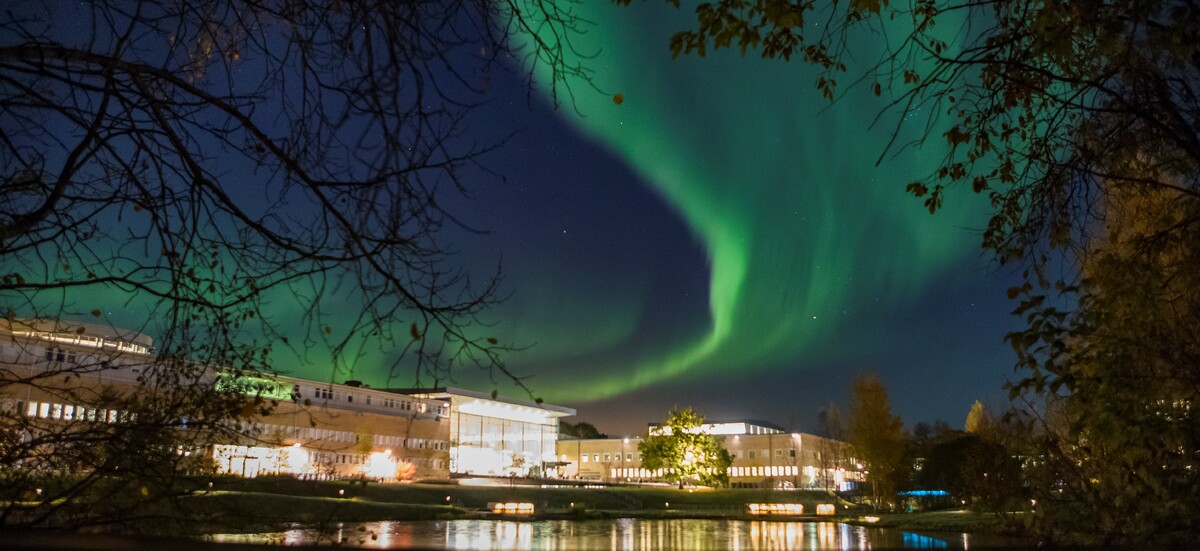 UMEA University