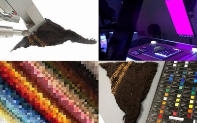 International Conference “Dyes in History and Archaeology” – Sweden – October 11-13, 2022 – Call for abstracts – Deadline: April 22, 2022