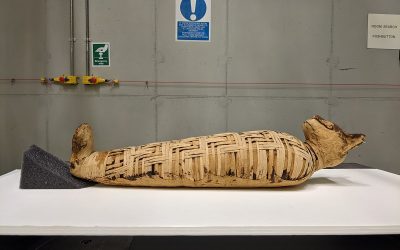 British Museum Postdoctoral Fellowship – Deadline: July 18, 2022