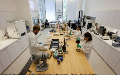 Two open positions at the Getty Conservation Institute – Deadline for submission: October 2, 2023
