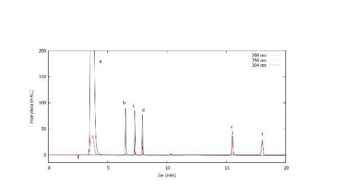 Molecular analysis